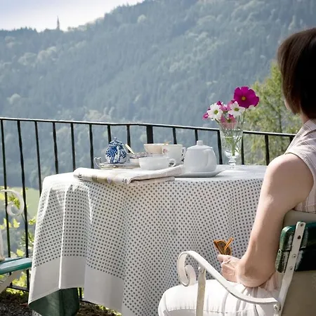 Landhaus Falkner Bed & Breakfast Hofkirchen im Muehlkreis