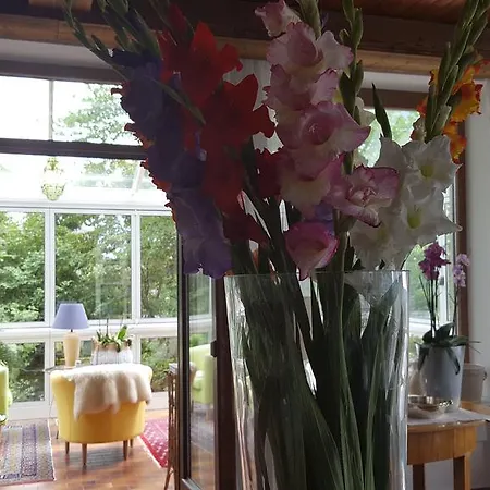 Alojamento de Acomodação e Pequeno-almoço Landhaus Falkner Hofkirchen im Mühlkreis