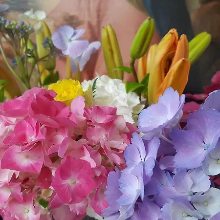 Alojamento de Acomodação e Pequeno-almoço Landhaus Falkner