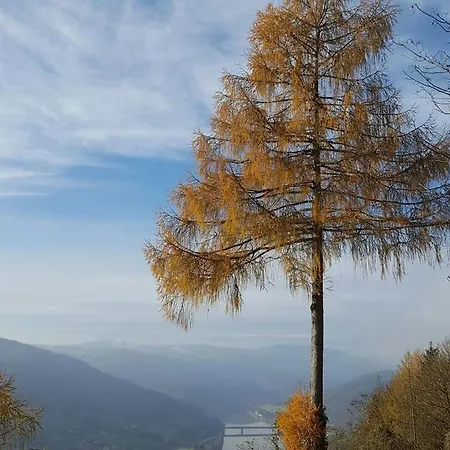 Oda ve Kahvaltı Landhaus Falkner 4*