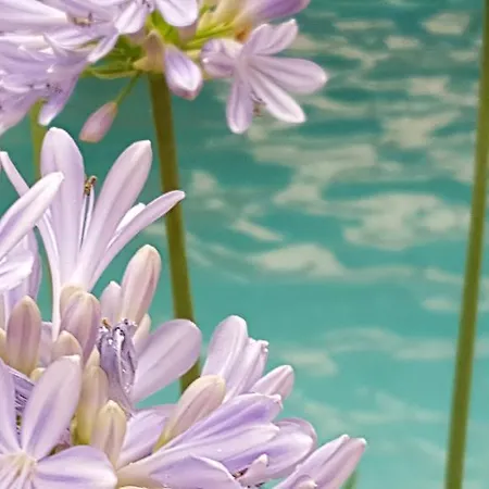 Landhaus Falkner Alojamento de Acomodação e Pequeno-almoço Hofkirchen im Mühlkreis