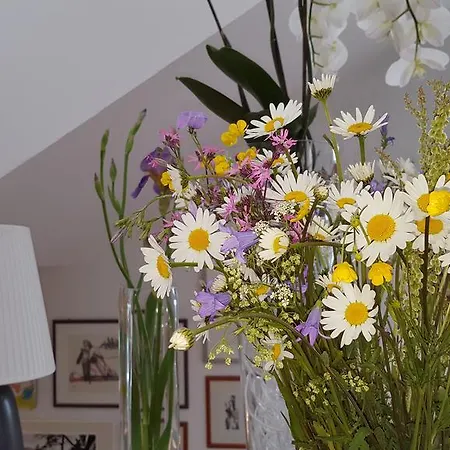 Landhaus Falkner Alojamento de Acomodação e Pequeno-almoço