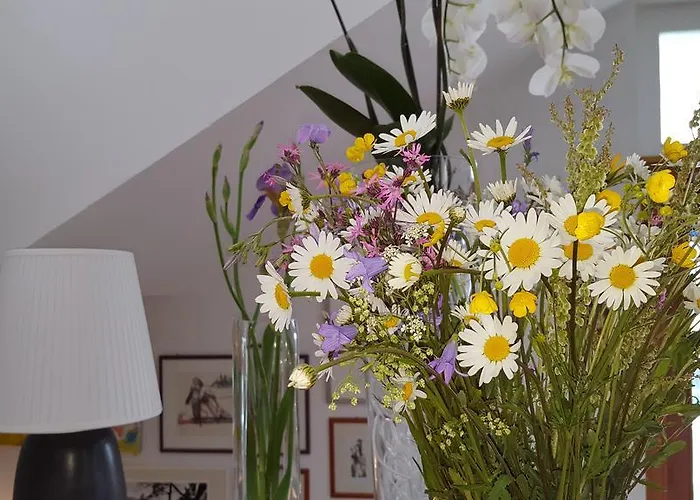 Landhaus Falkner Couette-café